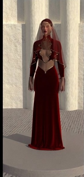 burgundy sheer gown